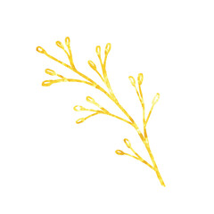 Gold branch, linear leaves and seeds. Hand painted isolated on white background. Vector.