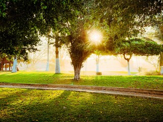 Parque en la mañana