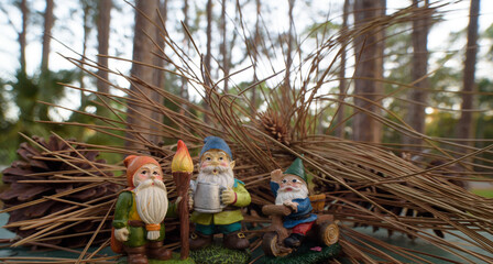 Three little Gnome friends on a camping trip
