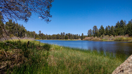 Big Bear, Calfironia - Bluff Lake Reserve