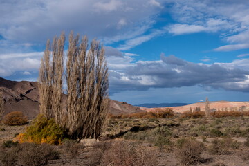Otoño en la Patagonia