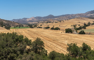 Fototapeta na wymiar Santa Inez, CA, USA - April 3, 2009: San Lorenzo Seminary. Darker brown mountains and yellow flanks and valley in front where hay was freshly harvested under blue sky.
