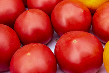arugula salad in female hands next to cherry tomatoes red and yellow.