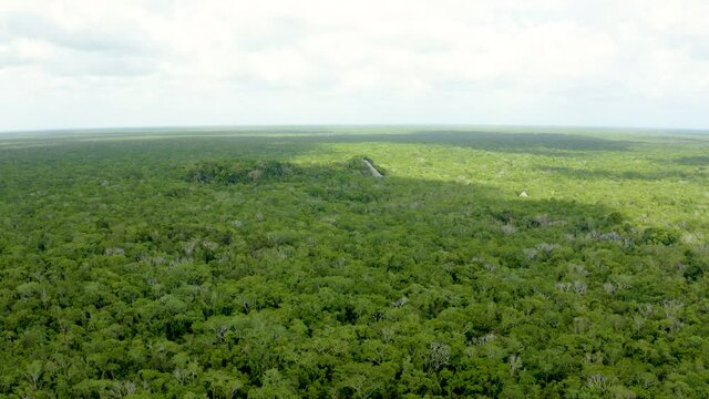 Aerial view of the Mayan pyramids in the jungle of Mexico near Coba.
