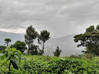 Rainy days in nature, (Sacatepéquez, Guatemala)