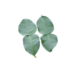 Fototapeta premium Bergamot fruit isolated on white background