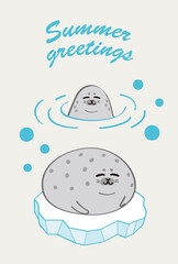 あざらし_暑中見舞い_Seals Summer greetings_05