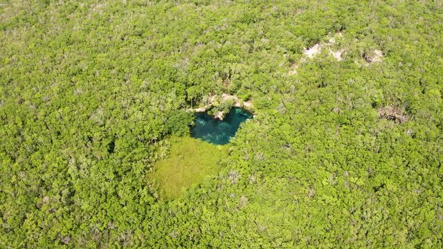 Aerial view of the beautiful heart shaped cenote 