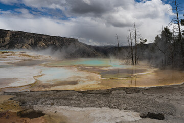  2021-05-10 A HYDROTHERMAL FEATURE NEAR MAMMOTH HOT SPRINGS IN YELLOWSTONE NATIONAL PARK