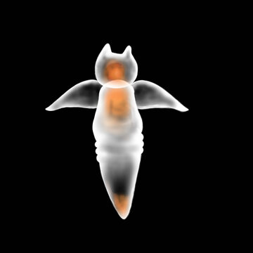 illustration of swimming clione on black background 