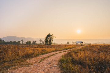 Obraz premium Farmer's hut in the middle of the prairie at sunrise.
