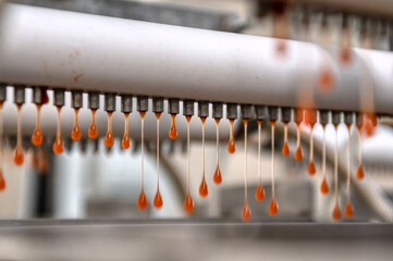 Machine for the production of artificial red caviar.