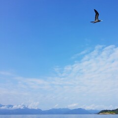 Angra dos Reis