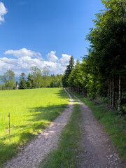 Schwarzwald 