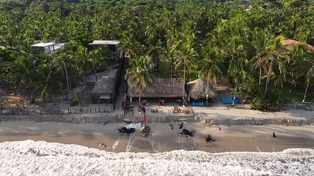 palomino la guajita en colombia, enfrente del mar, entre palmas y mucha arena con desayuno y olas que golpean  los pies. clima caluroso cielos despejados tomas con drone vuelo
