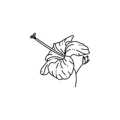 Hibiscus Flower in a Trendy Minimalist Liner Style. Vector Tropical Flower Illustration