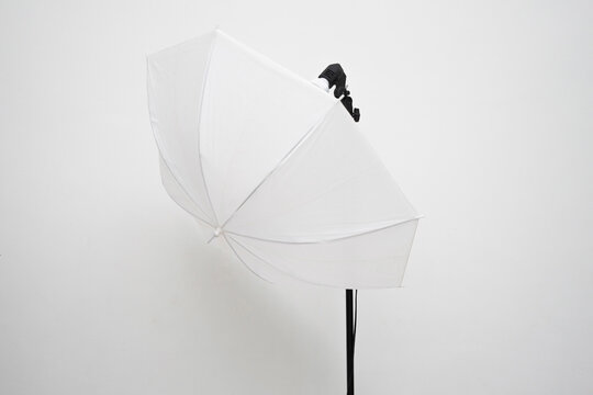 single umbrella for photography. full equipment for studio photography. creative project for business. creative photography industry.