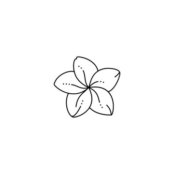 Frangipani Flower in a Trendy Minimalist Liner Style. Vector Plumeria Flower Illustration
