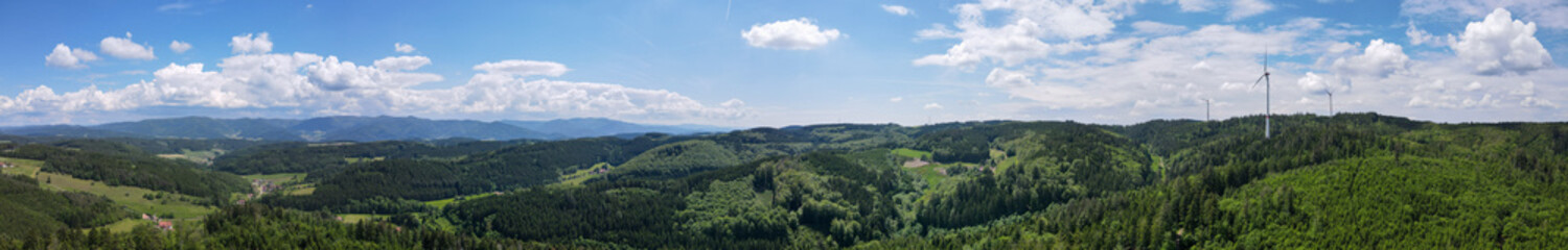 Fototapeta na wymiar Schwarzwald 