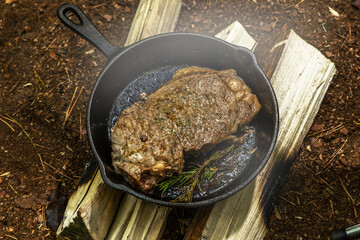 ステーキ　Large American beef steak chunks
