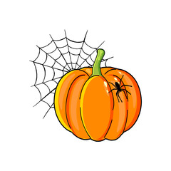 pumpkin, spider and cobweb on a white background. vector for halloween. eps