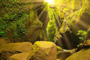 大分県の由布川渓谷に差し込む太陽光線