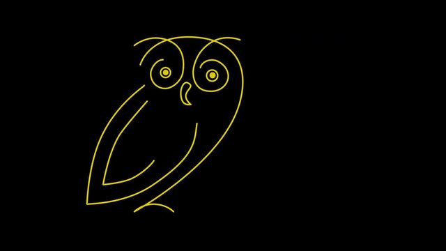 Self drawing animation of owl, bird, symbol of wisdom and knowledge. Copy space. Golden line. Black background.	