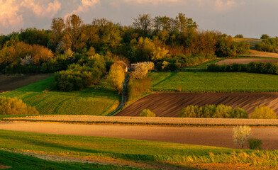 Fototapeta premium spring panorama of fields on farmland cultivated extensively and ecologically
