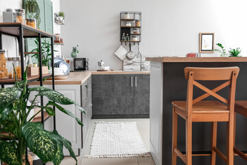 Obraz premium Stylish interior of modern kitchen