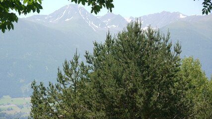 nature montagne, lac, et forêt verdoyante en Autriche