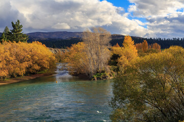 The Clutha River in  the South Island of New Zealand, surrounded by colorful autumn foliage 