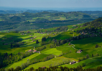 Obraz premium landscape with green fields