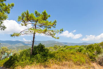 Coastal landscape of Corsica island