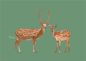 Vector Illustration of Deer, True Deer, Red Deer, Fallow Deer