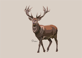 Vector Illustration of Deer, True Deer, Red Deer, Fallow Deer