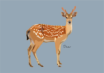 Vector Illustration of Deer, True Deer, Red Deer, Fallow Deer © be_u_and_i