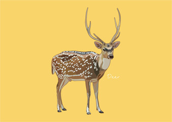 Vector Illustration of Deer, True Deer, Red Deer, Fallow Deer © be_u_and_i