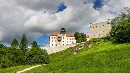 Fototapeta na wymiar Szlak Orlich Gniazd - zamek Pieskowa Skała na terenie Ojcowskiego Parku Narodowego w Polsce