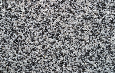 Decorative plaster. Black and white grain.