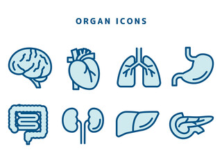 Organ Icons 臓器アイコンセット