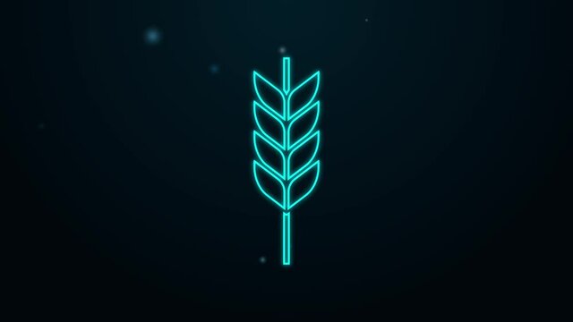 Glowing neon line Cereals set with rice, wheat, corn, oats, rye, barley icon isolated on black background. Ears of wheat bread symbols. 4K Video motion graphic animation