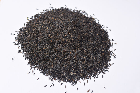 pile of Guizotia abyssinica. Niger seeds on white background