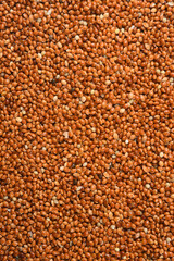  texture of red millet, grain (Panicum miliaceum)