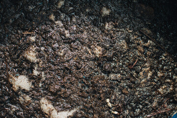 Organic fertilizer from fermented manure. Fermented manure being soaked in water to provide a natural organic garden liquid fertilizer.