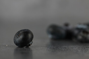 blueberry against gray background extreme close up