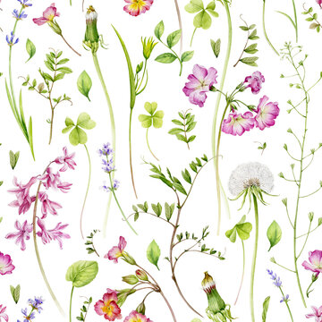 Seamless pattern with thin twigs, herbs and flowers. Primrose flowers, hyacinth, dandelions and others. Watercolour illustration.