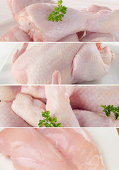 Collage of fresh raw chicken parts.Food concept.