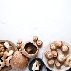 Obraz na płótnie Canvas Variety of raw mushrooms on light gray background.