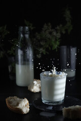 Milk splashes in a glass in low key