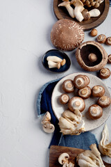 Fototapeta na wymiar Variety of raw mushrooms on light gray background.